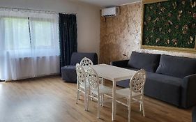 Casa Ratiu 3 Stele Airport Bucharest Therme Bucharest
